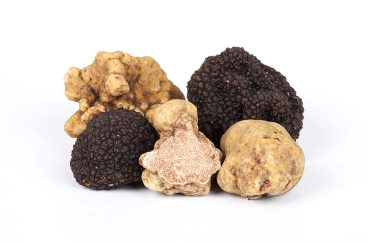 Lady Truffle Collection
