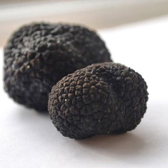 Blast Frozen Truffle - Truffle and Fine Foods