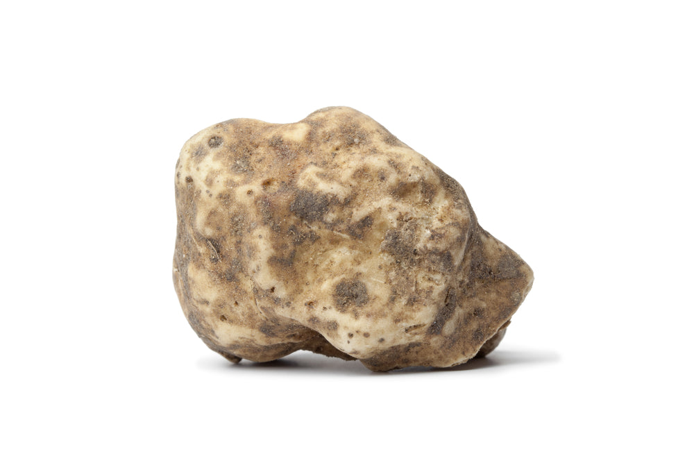 Fresh White (Alba) European Truffle