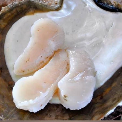 Paspaley Pearl Meat