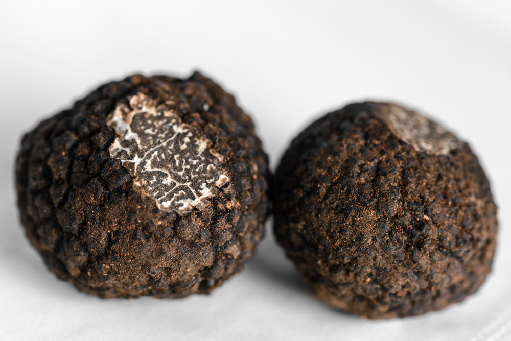 Fresh Winter Truffle Whole - Truffle and Fine Foods